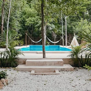 Lunita Jungle Experience *** Puerto Morelos
